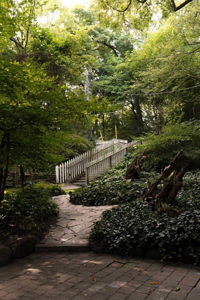 Wooded Pathway in Toronto Park