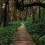 Exploring the Wonders of Peru: From Machu Picchu to the Sacred Valley