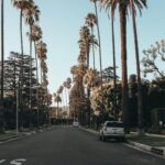 Los Angeles: A City of Dreams, Culture, and Beaches